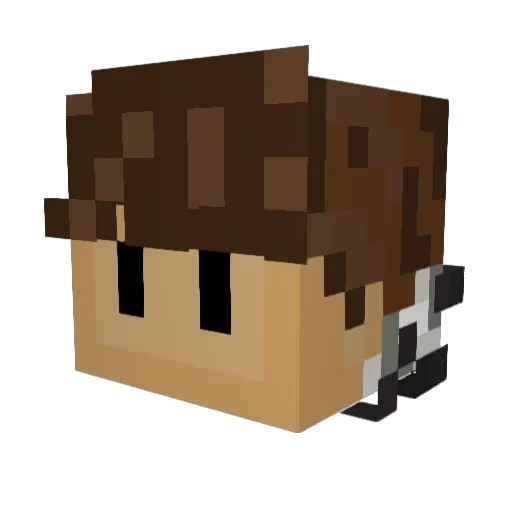 Perkx_ Minecraft avatar head, 3D render