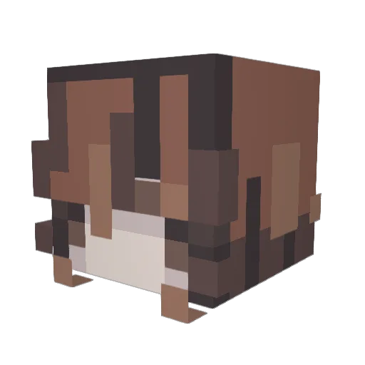 PerkyBonsai8642 Minecraft avatar head, 3D render