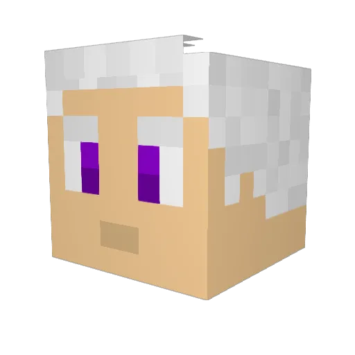 PerkySaturn2816 Minecraft avatar head, 3D render