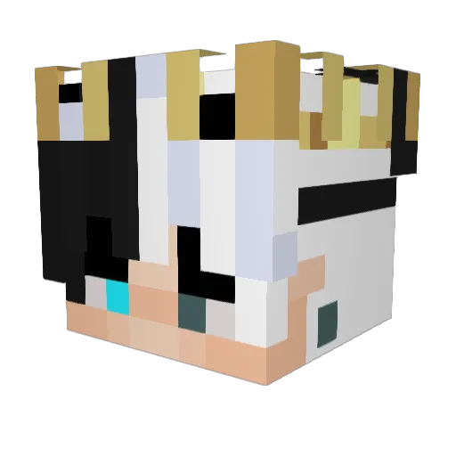 PerliPL77 Minecraft avatar head, 3D render