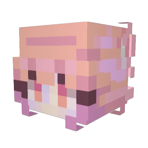 Permutations_ Minecraft avatar head, 3D render