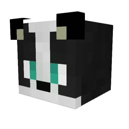 Perna2000 Minecraft avatar head, 3D render