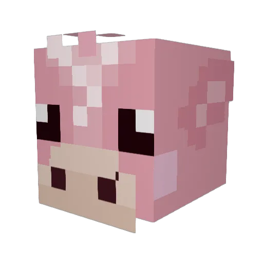 Perneflakes Minecraft avatar head, 3D render