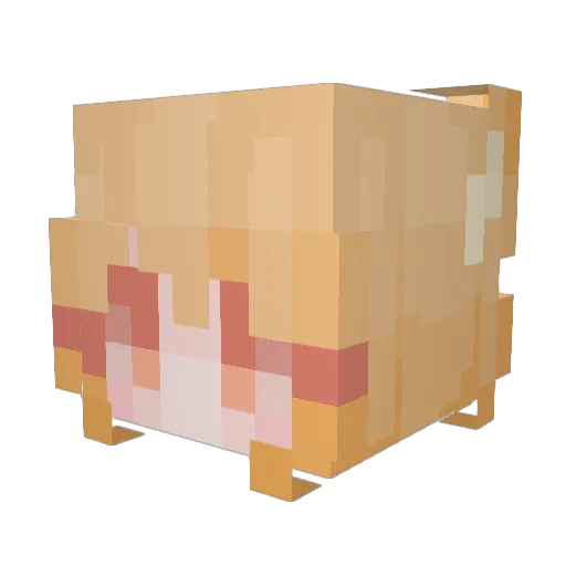 Perola99 Minecraft avatar head, 3D render
