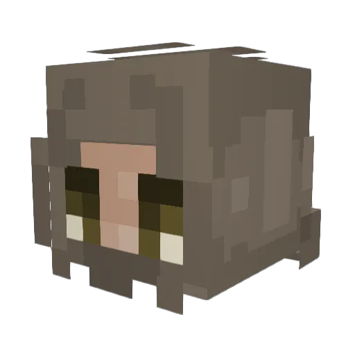 Peroxide_Fondue Minecraft avatar head, 3D render
