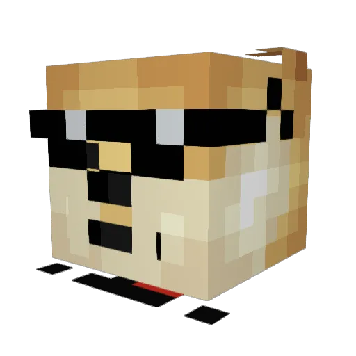 PerroAfk Minecraft avatar head, 3D render