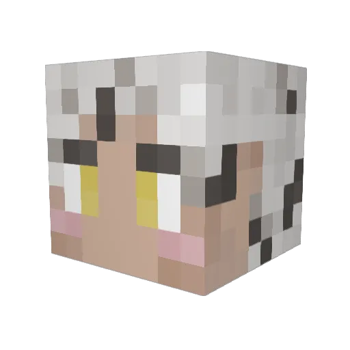 Perromcu Minecraft avatar head, 3D render
