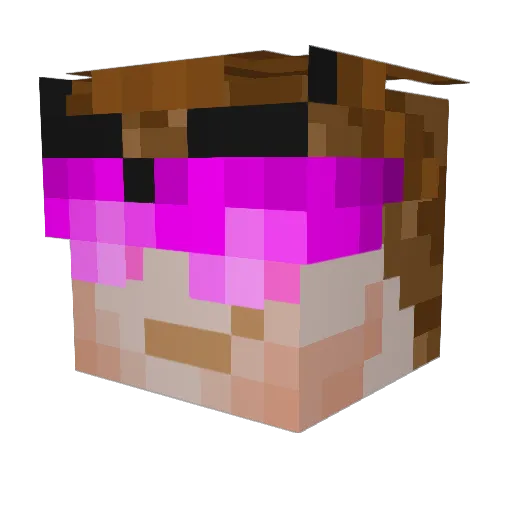 Perroy Minecraft avatar head, 3D render