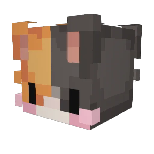Perru34 Minecraft avatar head, 3D render