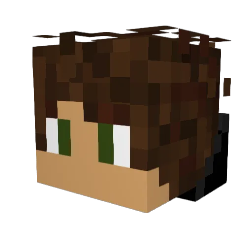 Perry2308 Minecraft avatar head, 3D render
