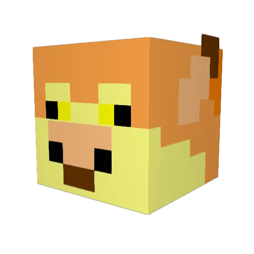 Perry9988 Minecraft avatar head, 3D render