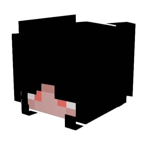 PerryTheRoach Minecraft avatar head, 3D render