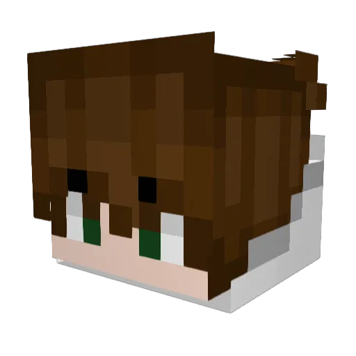 Perry_Johnson Minecraft avatar head, 3D render