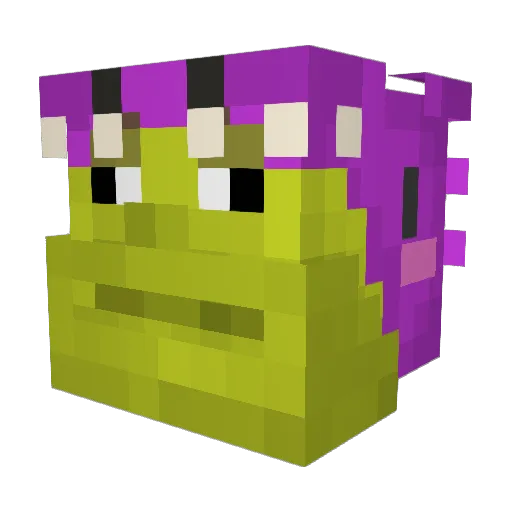 Pers0n14 Minecraft avatar head, 3D render