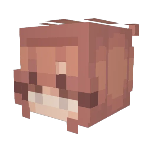 PersistentParrot Minecraft avatar head, 3D render
