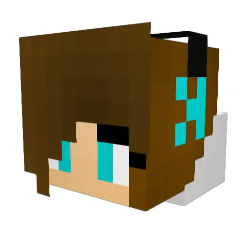 Person1234hi Minecraft avatar head, 3D render