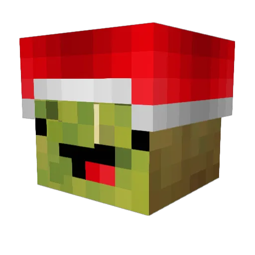 PersonKiwi Minecraft avatar head, 3D render