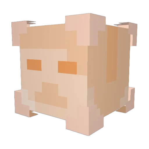 PersonMan147 Minecraft avatar head, 3D render