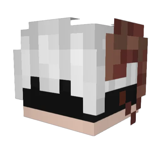 PersonalityFraud Minecraft avatar head, 3D render