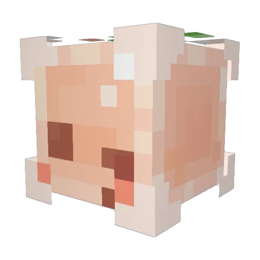 Personalityquiz Minecraft avatar head, 3D render