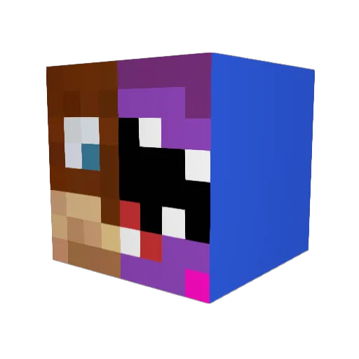 Persons Minecraft avatar head, 3D render