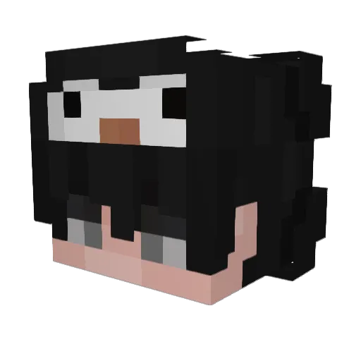 PerspectiveDuck Minecraft avatar head, 3D render