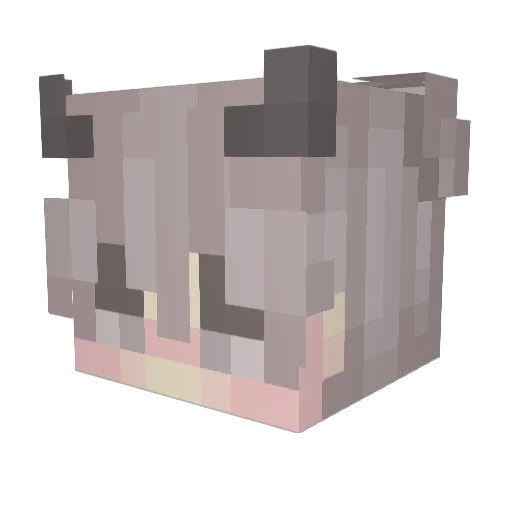 PeruanoPeeCausa Minecraft avatar head, 3D render