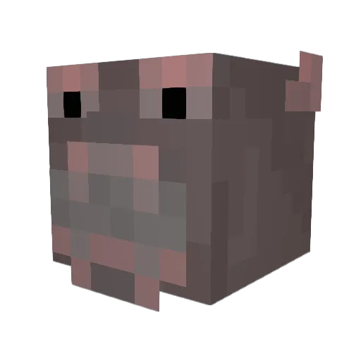 PervertedHippo Minecraft avatar head, 3D render