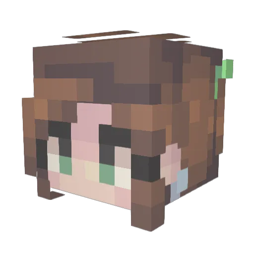 PeskiPenguin Minecraft avatar head, 3D render