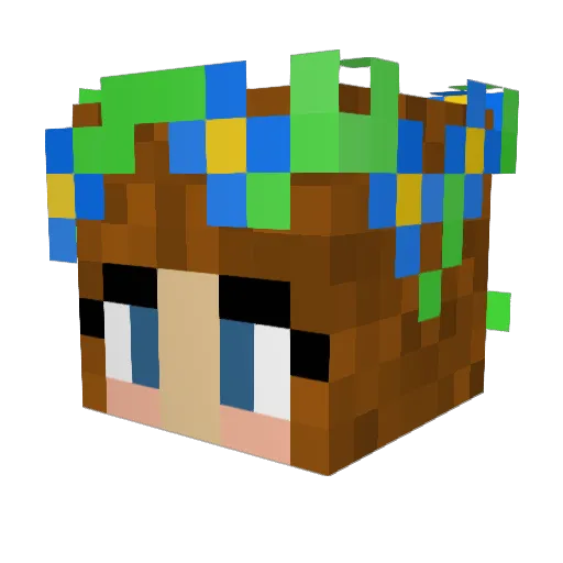 PeskyCat41 Minecraft avatar head, 3D render