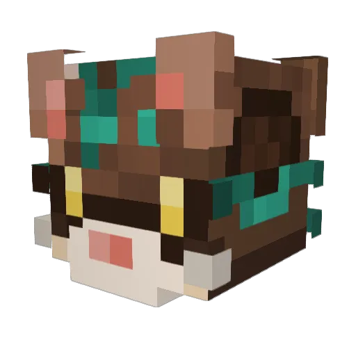 PeskyKiwi Minecraft avatar head, 3D render