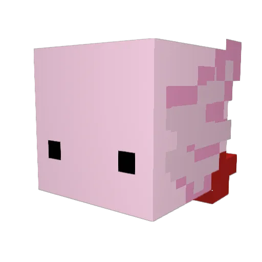 Pessegopata Minecraft avatar head, 3D render