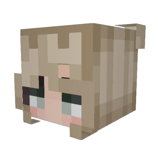 Pesseguacima Minecraft avatar head, 3D render