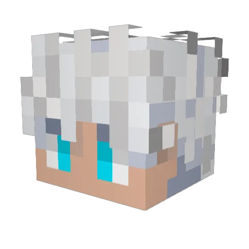 Pest1069 Minecraft avatar head, 3D render