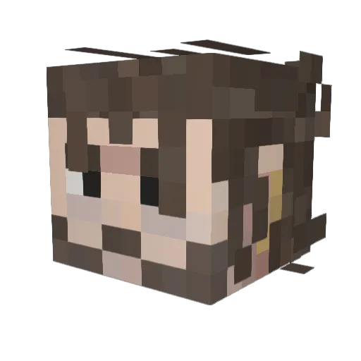 Pest725 Minecraft avatar head, 3D render