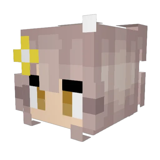 Pestilent09 Minecraft avatar head, 3D render