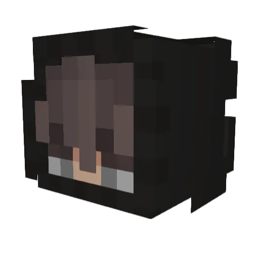 Pestle_8738 Minecraft avatar head, 3D render