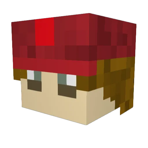 Pet0r Minecraft avatar head, 3D render