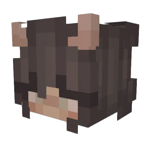 PetAfpakken Minecraft avatar head, 3D render