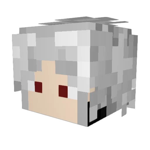 PetDetective777 Minecraft avatar head, 3D render