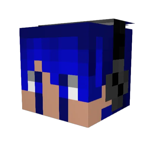 PetQ Minecraft avatar head, 3D render