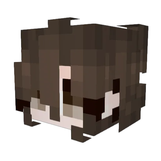 PetaBick Minecraft avatar head, 3D render