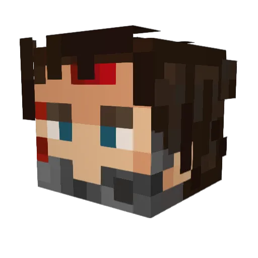 PetaBoii Minecraft avatar head, 3D render