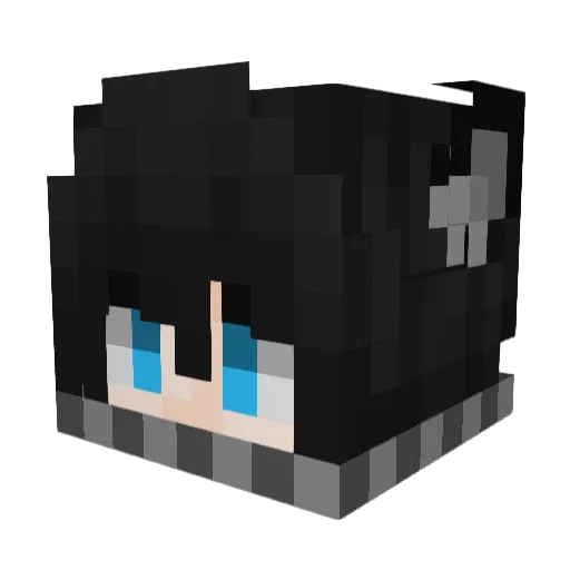 PetahPlata Minecraft avatar head, 3D render