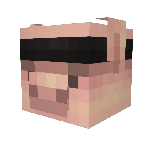 Petal5 Minecraft avatar head, 3D render