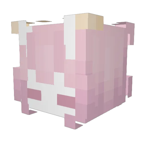PetalMoth Minecraft avatar head, 3D render
