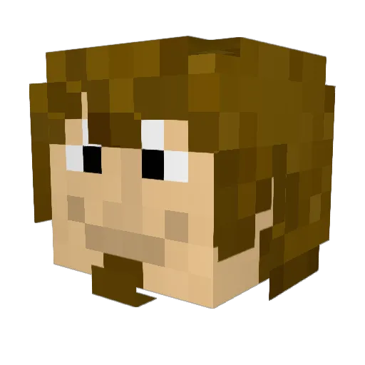 Petandcat Minecraft avatar head, 3D render