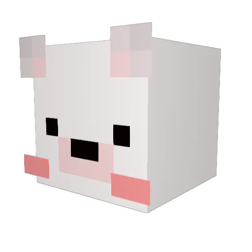 PetardekYT Minecraft avatar head, 3D render