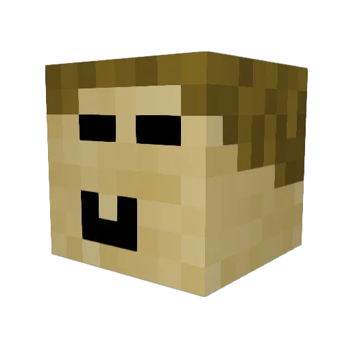 Petarrr3 Minecraft avatar head, 3D render