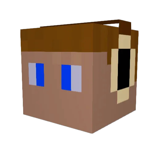 PeteGuy100 Minecraft avatar head, 3D render